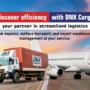 DNX Cargo transforms B2B logistics with a cutting-edge digital overhaul